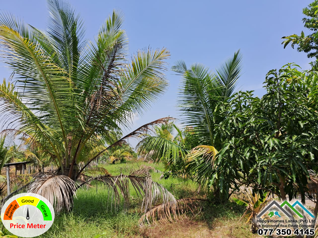 Land for Sale in Santhively – HHL0982